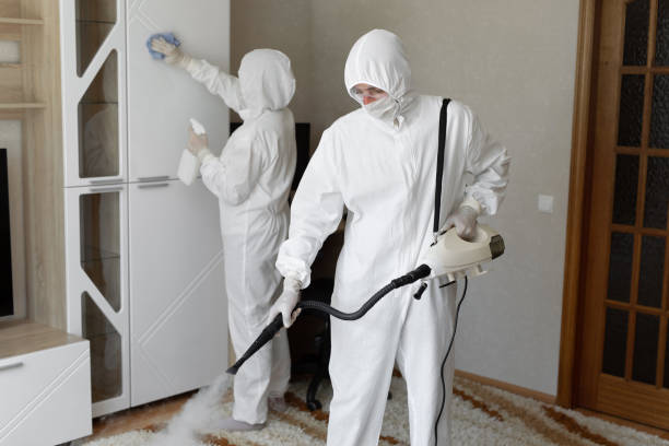 Office Mold Removal Services in Forreston, IL