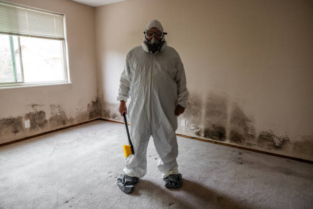 Crawl Space Mold Removal in Forreston, IL